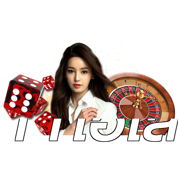 11ไฮโล